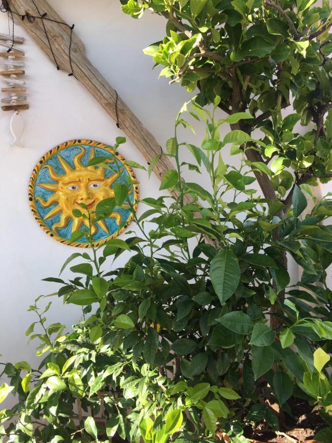 La Terrazza Sui Tetti Bed and Breakfast Senigallia Exteriör bild